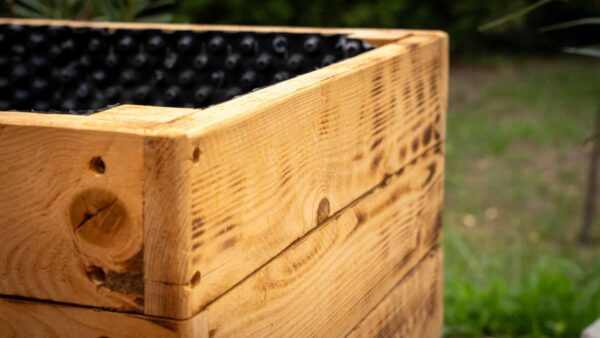 Florea magaságyás - Kép 3