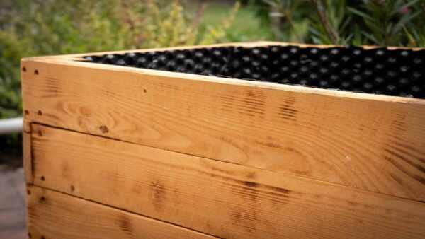 Florea magaságyás - Kép 4